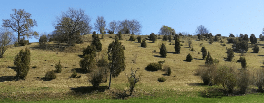 Bürgerbeteiligung zum Landschaftsplan Wolfhagen