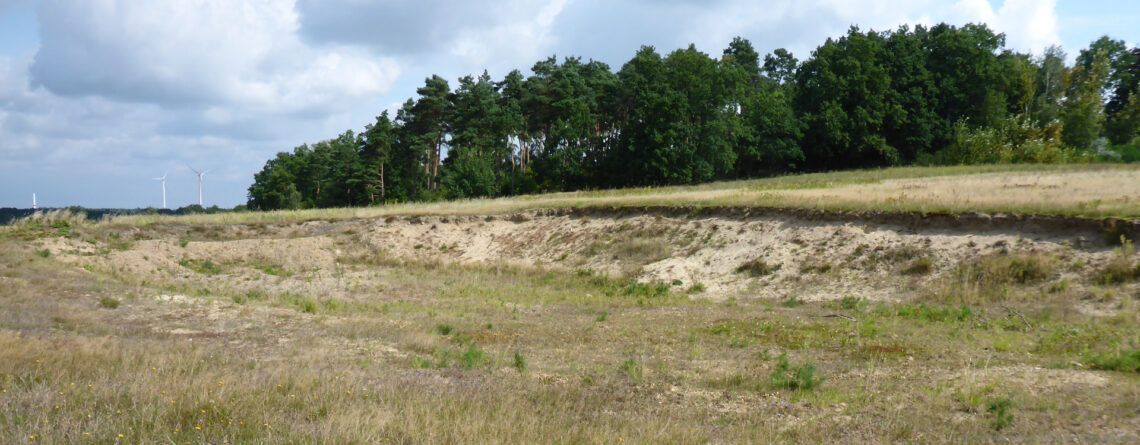 Biotopkartierung Samtgemeinde Bardowick, Lkr. Lüneburg
