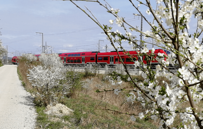 Ökologische Bauüberwachung für die Ausbaustrecke VDE 8.1.1