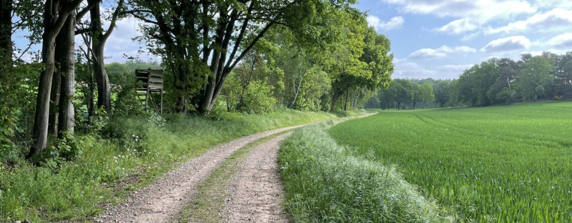 Naturschutzfachliche Begleitung einer Wasserstofftrasse